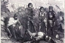 纳胡拉之战简介