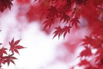 杜牧的经典代表作五首