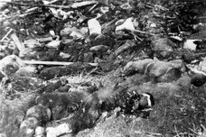 南京大屠杀的真正元凶