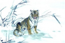 虎的生肖神话与民俗