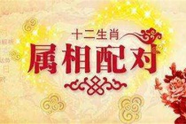 男女属相婚配表