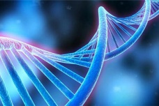 人类的智慧从哪里来