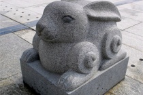 生肖兔的守护神