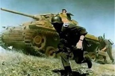 斯大林格勒会战双方战力损失