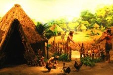 东夷文化是什么