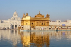 印度金庙为什么被称为世界最大的免费食堂