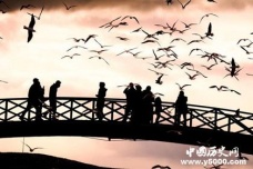 纳兰词最唯美的句子盘点