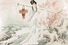 黛玉葬花是第几回