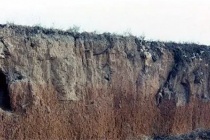 仰韶文化时期人类会采集和渔猎吗