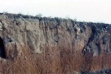 仰韶文化时期人类会采集和渔猎吗