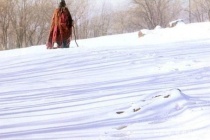 宝玉出家的原因