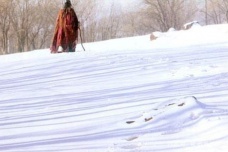 宝玉出家的原因