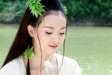 《儿女英雄传》的文学评价