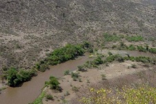 阿瓦什河谷的发现有什么意义