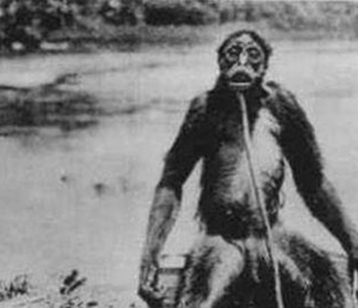 蒙古阿尔玛斯人