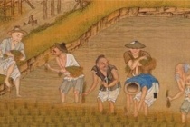 唐朝的农业发展情况