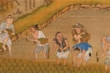 唐朝的农业发展情况