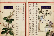 《雷公炮炙论》简介