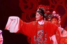 黄梅戏女驸马剧情的由来是什么