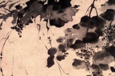 《墨葡萄图》简介