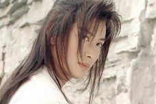 《儿女英雄传》的文学评价