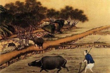 东周时期的农业发展