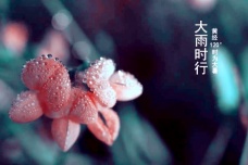大暑的天气特点