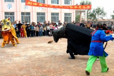 虎的生肖神话与民俗