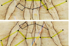 《维特鲁威人》的三大秘密是什么