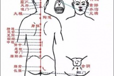 二十八星宿和人体有什么联系