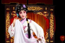 关汉卿《调风月》情节详细介绍