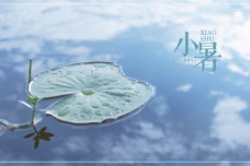 小暑养生的原因和方法