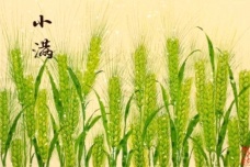 关于小满的诗词