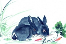 兔的生肖神话与民俗