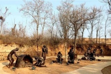 仰韶文化的农业生产方式是什么