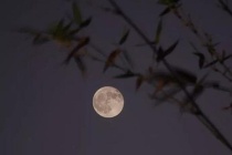 黄庭坚《鄂州南楼书事》赏析