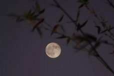 黄庭坚《鄂州南楼书事》赏析