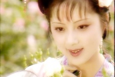 《红楼梦魇》:另类的张氏 “红学”