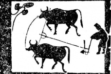 汉朝的农业发展情况