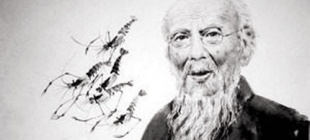 1957年9月16日：齐白石逝世