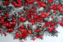 苏轼美食诗六首