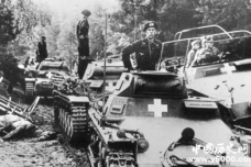 二战德国为什么闪击波兰