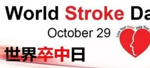 2004年10月29日：世界卒中日