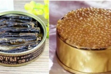 苏联史上最大的贪污案