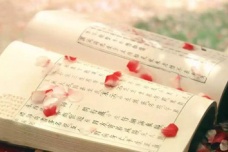 《画堂春·一生一代一双人》