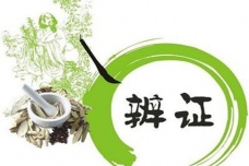 辨证论治是什么意思