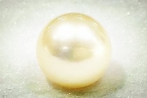 西施与珍珠的传说