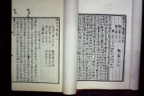 《韩非子》中的八奸指的是什么