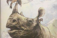 蚩尤的传说有哪些