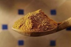 火药的军事发展历史